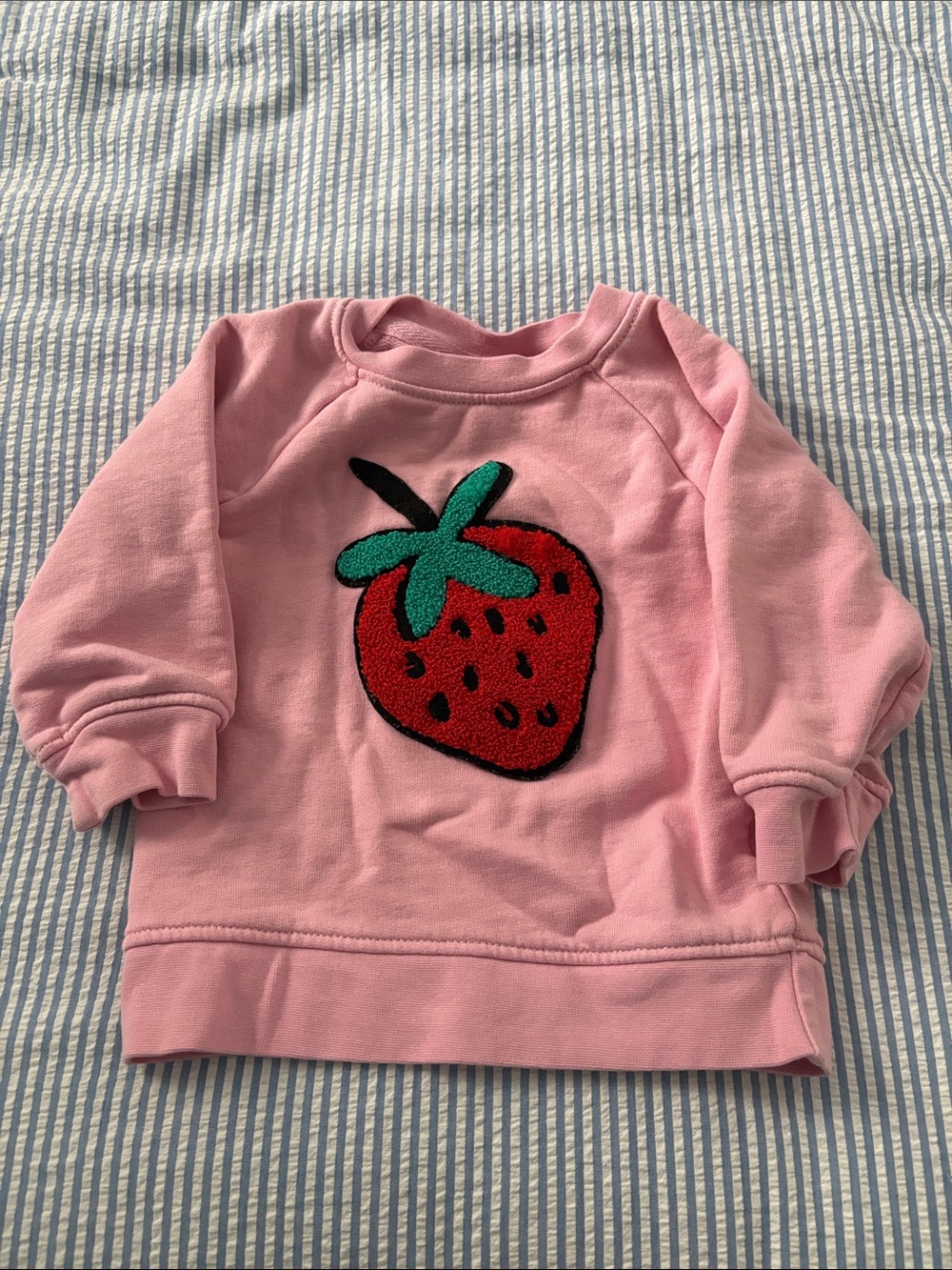 Hanna Andersson Pink Sweatshirt with Red & Green Strawberry Patch